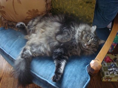 162904_475295897412_2441344_n