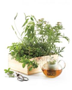 Herbs for cooking (fresh and potted), or in spice mixes (maybe better for a  cottage). Also, try some yummy blends of tea in pretty tins. 