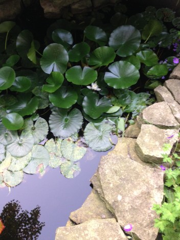 The Shaw gardens are perfect for stretching your legs at intermission.